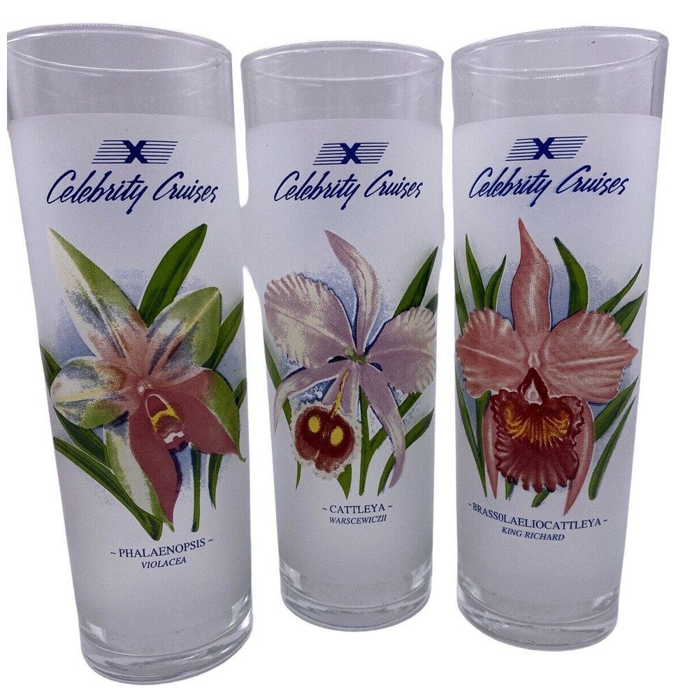 Celebrity Cruises 3 Collins Recipe Cocktail Glasses Tropical Flowers Orchids